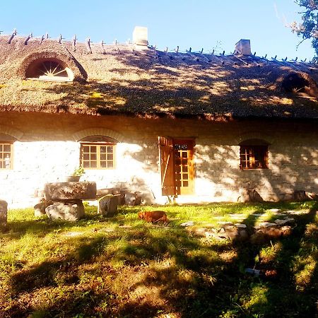 Paali Cottages Tornimae Bagian luar foto