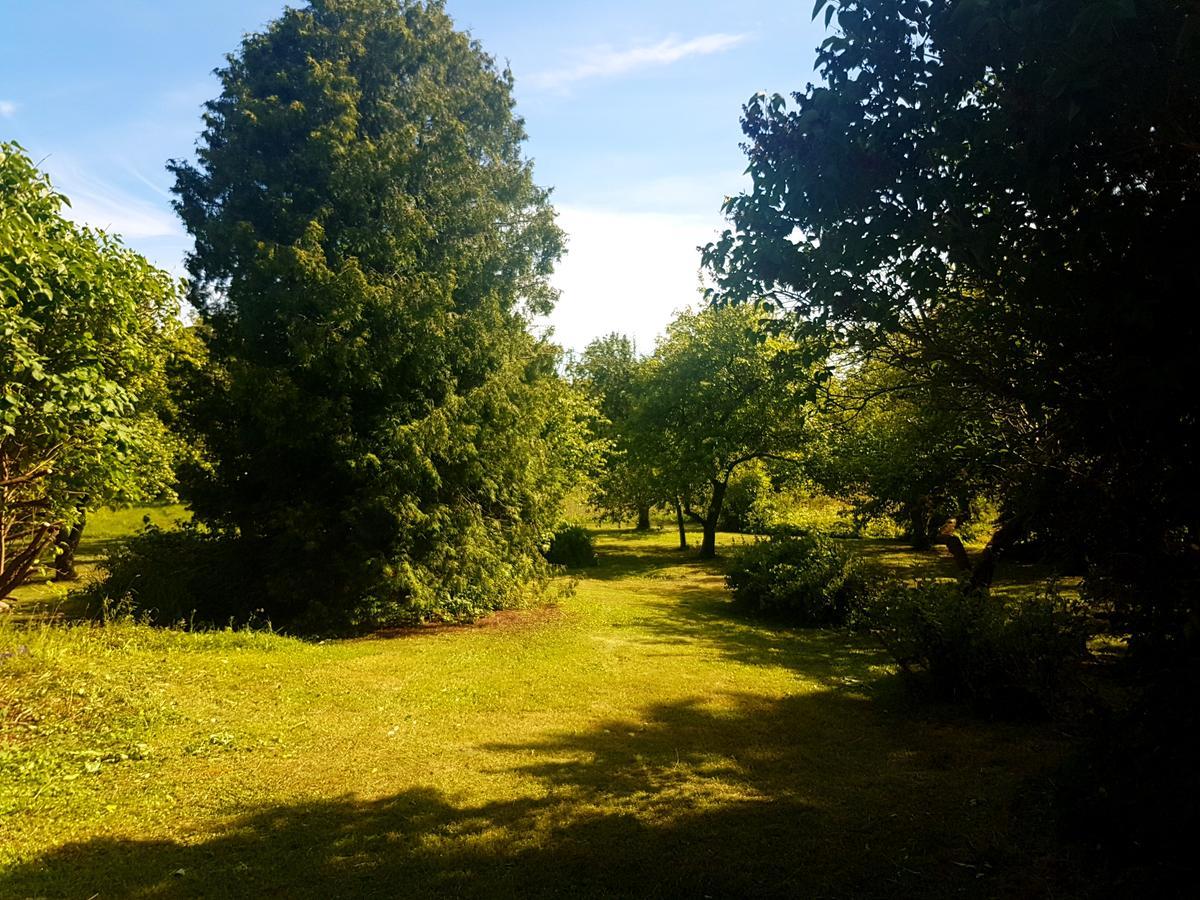 Paali Cottages Tornimae Bagian luar foto