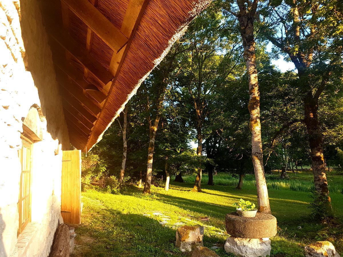 Paali Cottages Tornimae Bagian luar foto